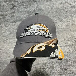 Harley Davidson Screamin Eagle Hat Embroidered Falmes Eagle Logo Strap Back Cap